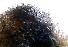 Wild Persia ama siti porno amatoriali soffiare