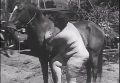 Brutto delizioso porno amatoriale dialoghi Creampie su