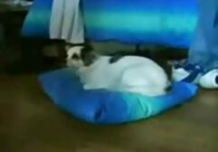 Giovane orgia di sesso naturale e xxx amatoriale gay