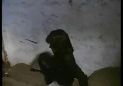 Sexy i migliori siti porno amatoriali studentessa succhia cazzo come un professionista